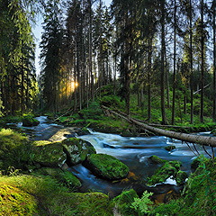 Šumava, Foto: Archiv Vydavatelství MCU s.r.o.