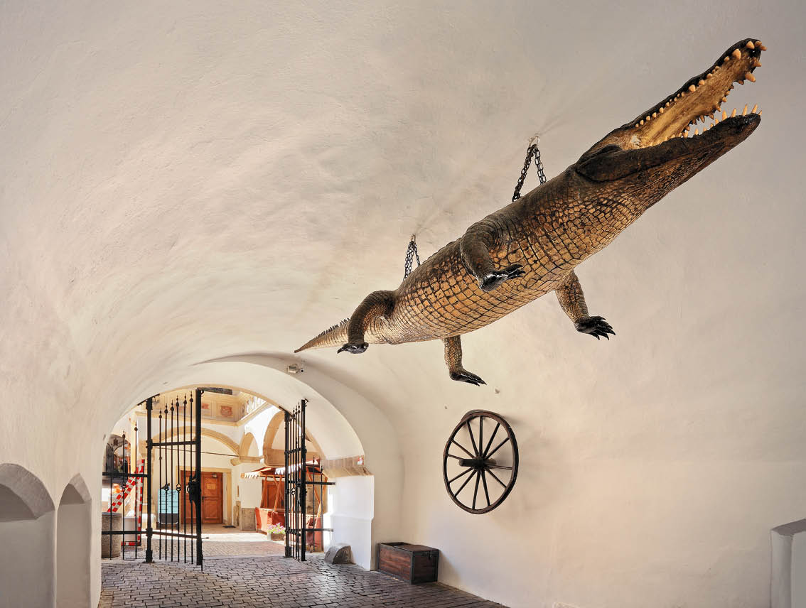 Fotografoval: Libor Svacek, Kaplicka 447, Cesky Krumlov, 381 01 CZ