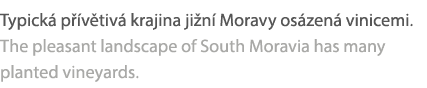 Typick p  v tiv  krajina ji n  Moravy os zen  vinicemi. The pleasant landscape of South Moravia has many planted vin...