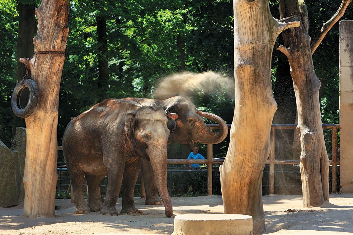 Fotografoval: Libor Svacek, Kaplicka 447, Cesky Krumlov, 381 01 CZ