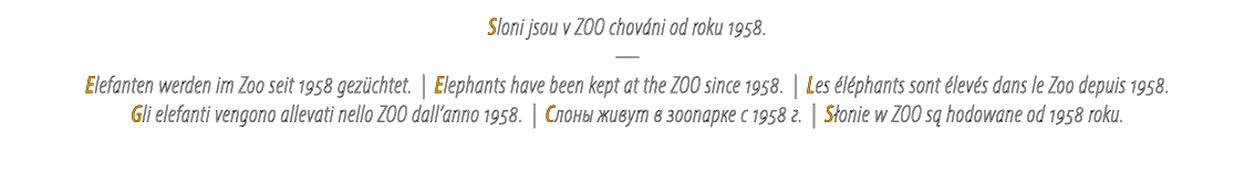 Sloni jsou v ZOO chov ni od roku 1958. — Elefanten werden im Zoo seit 1958 gez chtet. | Elephants have been kept at t...