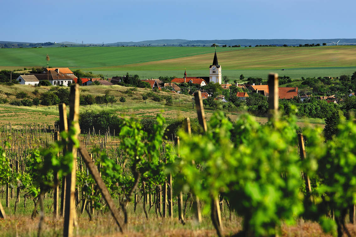 Kniha “Jizni Morava - Libor Svacek" - vydani 1., rok 2011 Photographer: Libor Svacek; box@fotosvacek.cz; Mobile: +420 602428001; 