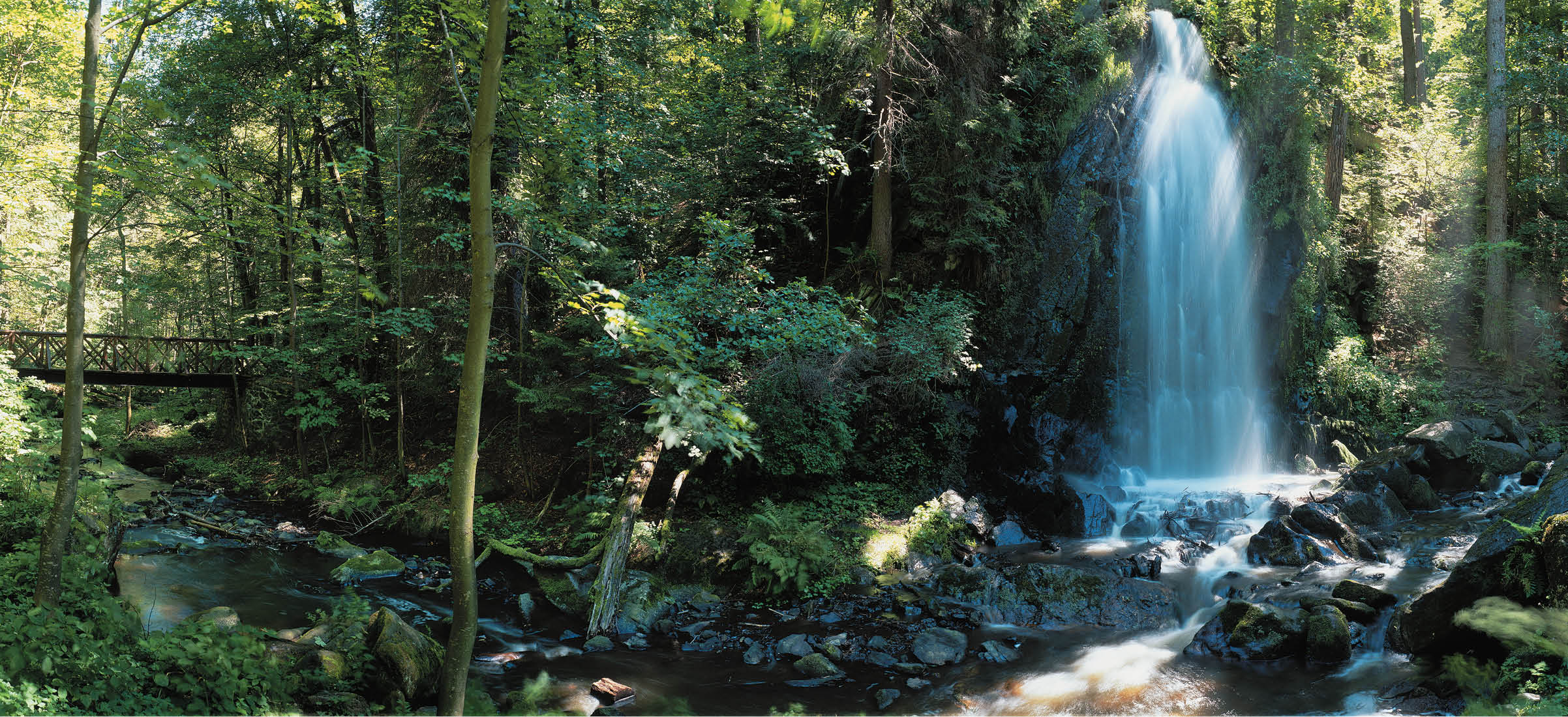 Fotografoval: Libor Svacek, Kaplicka 447, Cesky Krumlov, 381 01 CZ