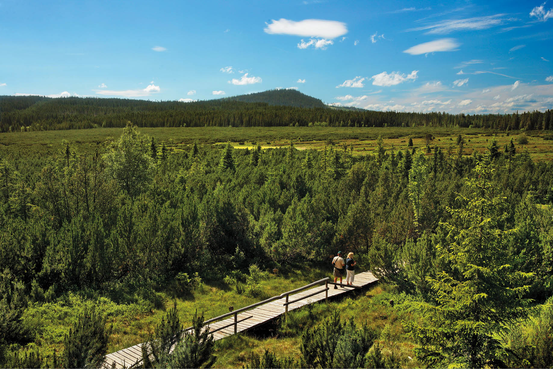 Fotografoval: Libor Svacek, Kaplicka 447, Cesky Krumlov, 381 01 CZ