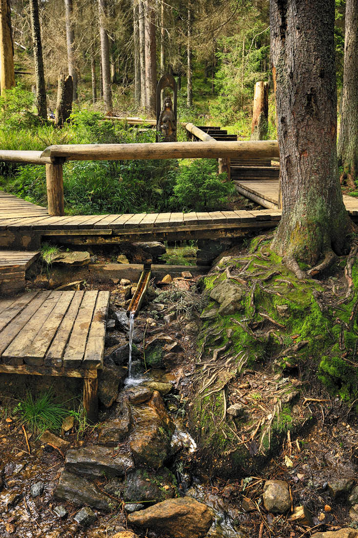 Kniha “VLTAVA - Libor Svacek" - vydani 1., rok 2011 Photographer: Libor Svacek; box@fotosvacek.cz; Mobile: +420 602428001; 