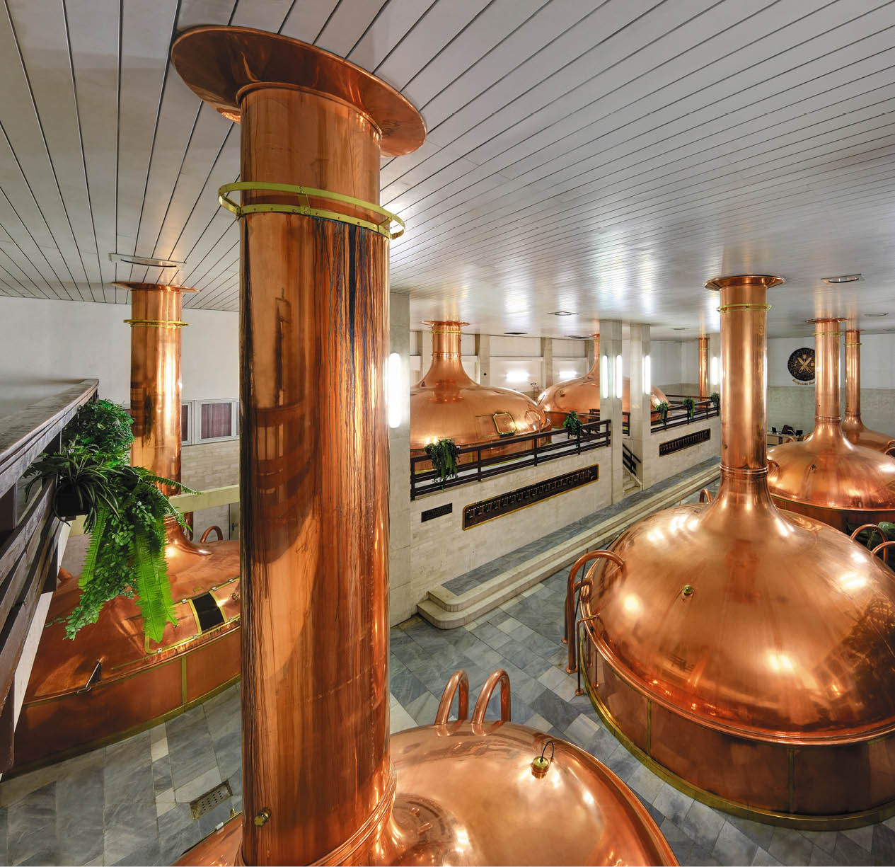 Kniha “CESKE BUDEJOVICE - Libor Svacek" - vydani 1., rok 2012 Photographer: Libor Svacek; box@fotosvacek.cz; Mobile: +420 602428001; 