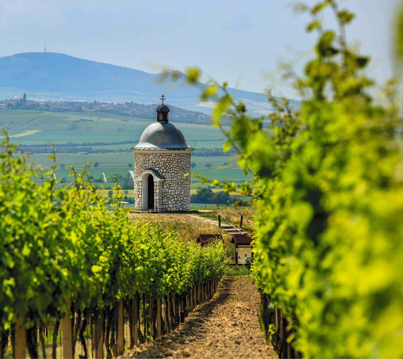 Kniha “MORAVA BEST - Libor Sv ek" - 1. vyd n  2018/2019 Photographer: Libor Svacek; box@fotosvacek.cz; Mobile: +420 602428001; 