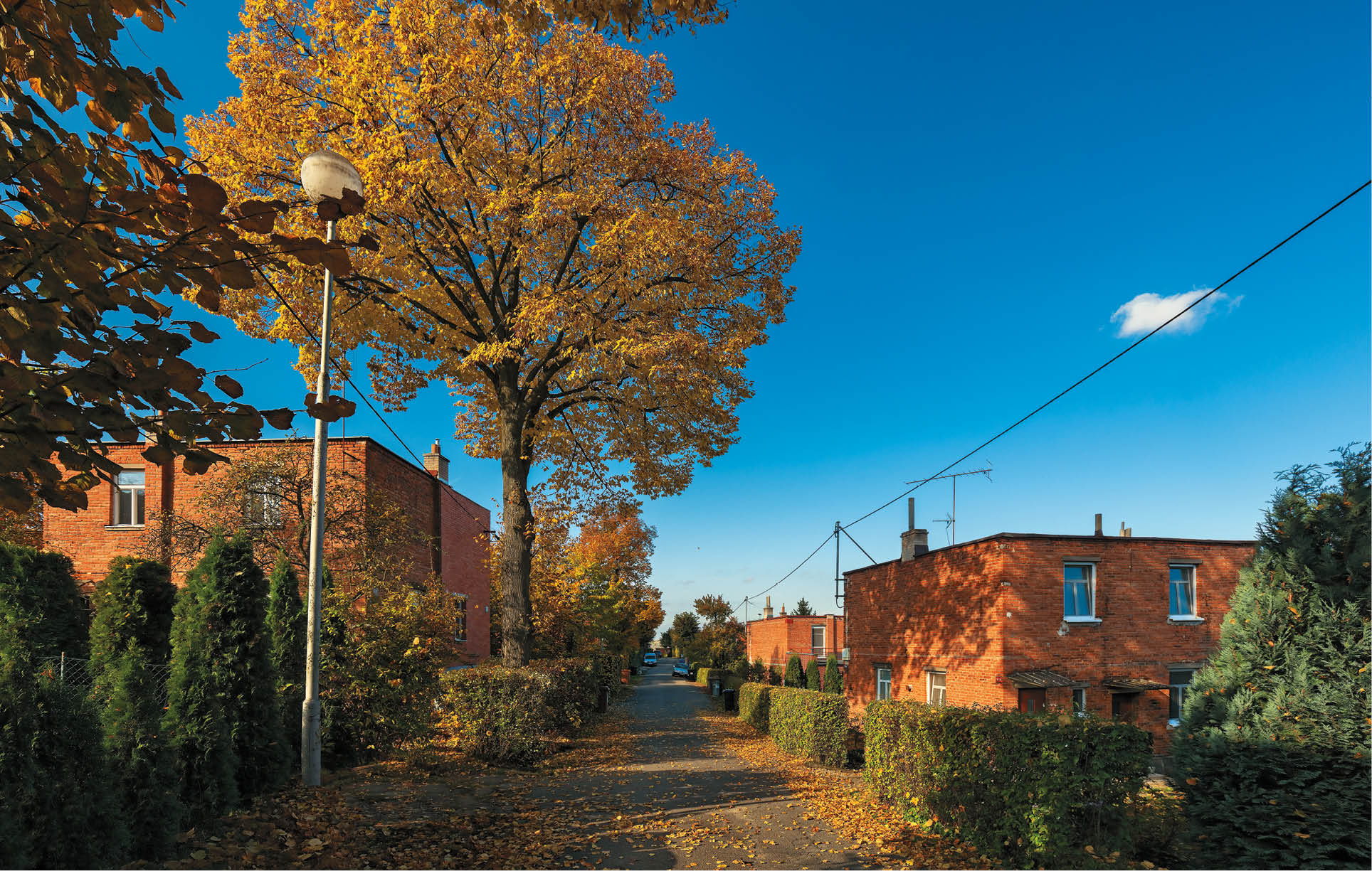 Kniha “Zl n - Libor Sv ek" - 1. vyd n  rok 2016 Photographer: Libor Svacek; box@fotosvacek.cz; Mobile: +420 602428001; 