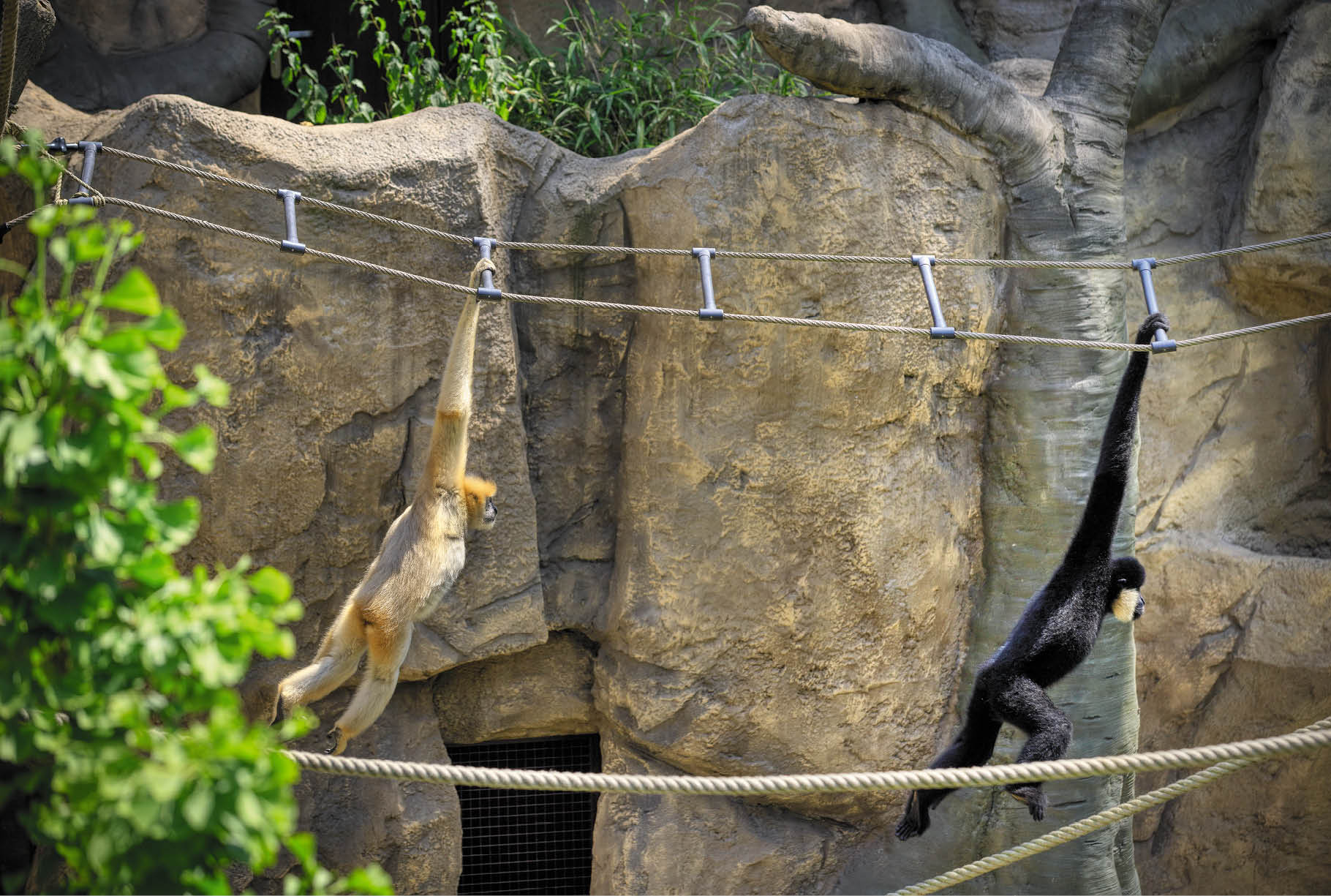 Kniha “OSTRAVA - Libor Sv ek" - 2. vyd n  2025 Vydavatelstv  MCU